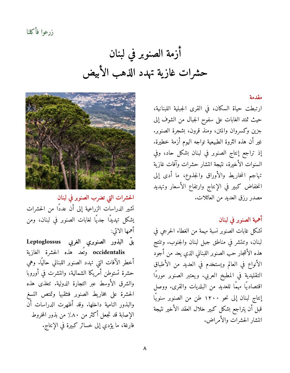 صفحة 10