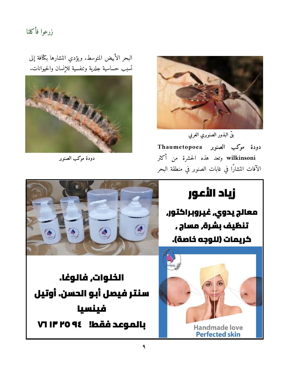 صفحة 11
